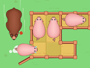 Schiebepuzzle: Piggy Move