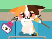 Baby Taylor Haustierpflegezentrum